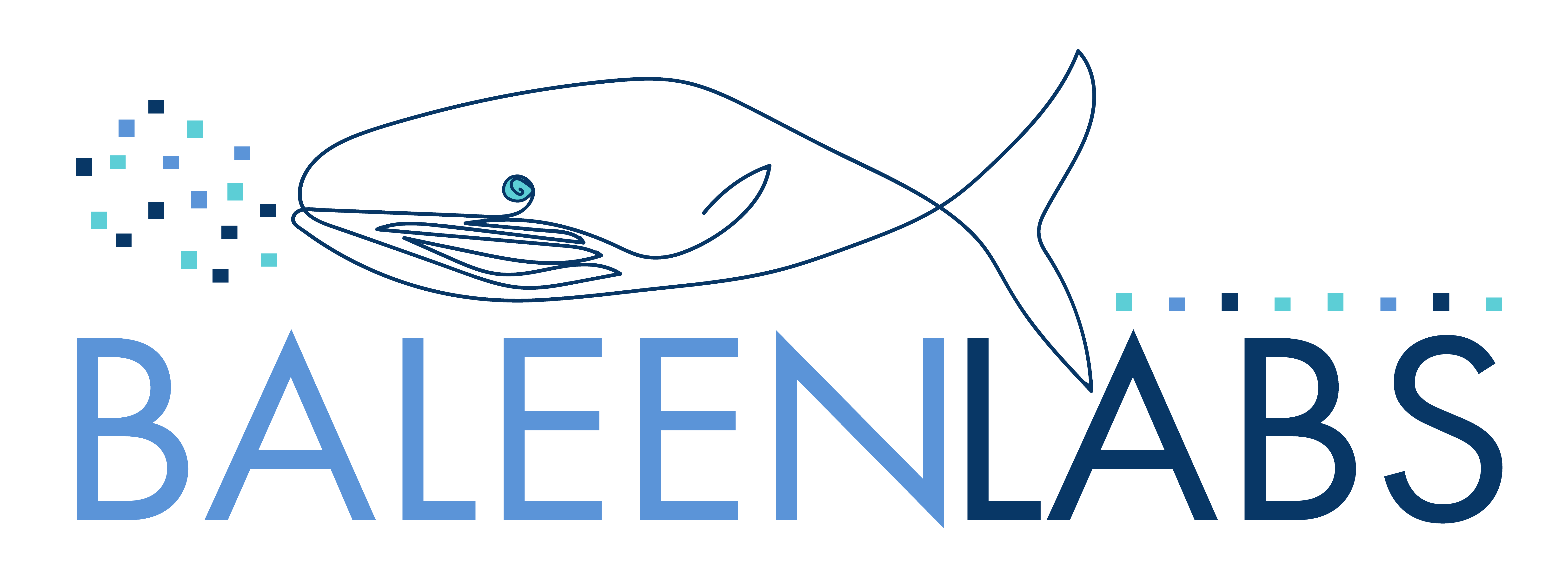 Baleen Labs Ltd logo